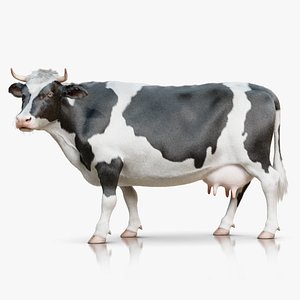 Cow Rigged Animated with 3 Textures 3D model