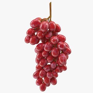 3D cluster pink grapes model
