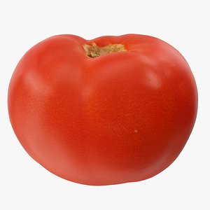 3D tomato 04 hi polys