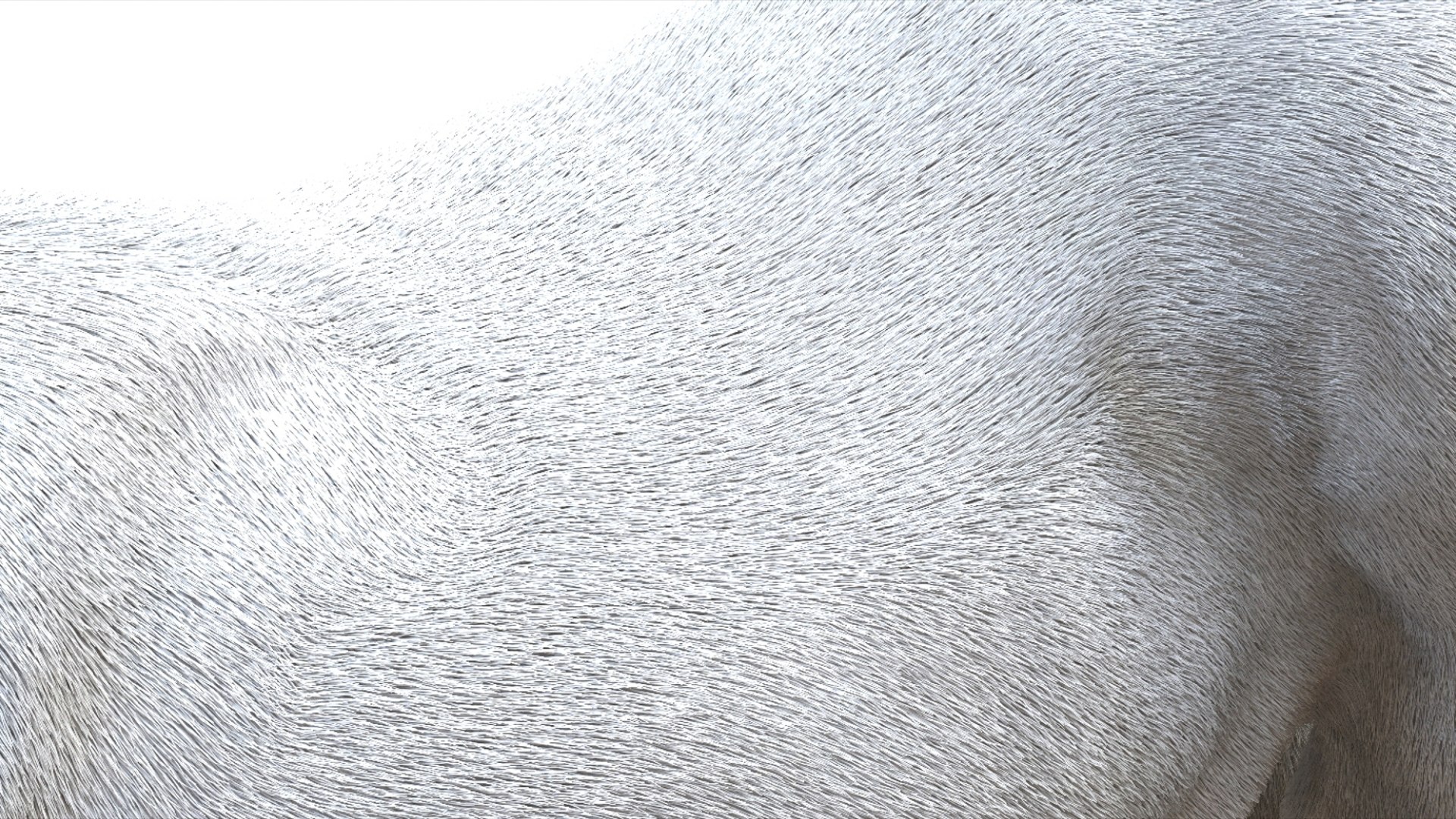3D White Horse Rigged 3D model https://p.turbosquid.com/ts-thumb/L7/DcP0In/0b/17/jpg/1751249790/1920x1080/fit_q87/c5b5d8af3a112a3f8d15e344eb6958756766b13f/17.jpg