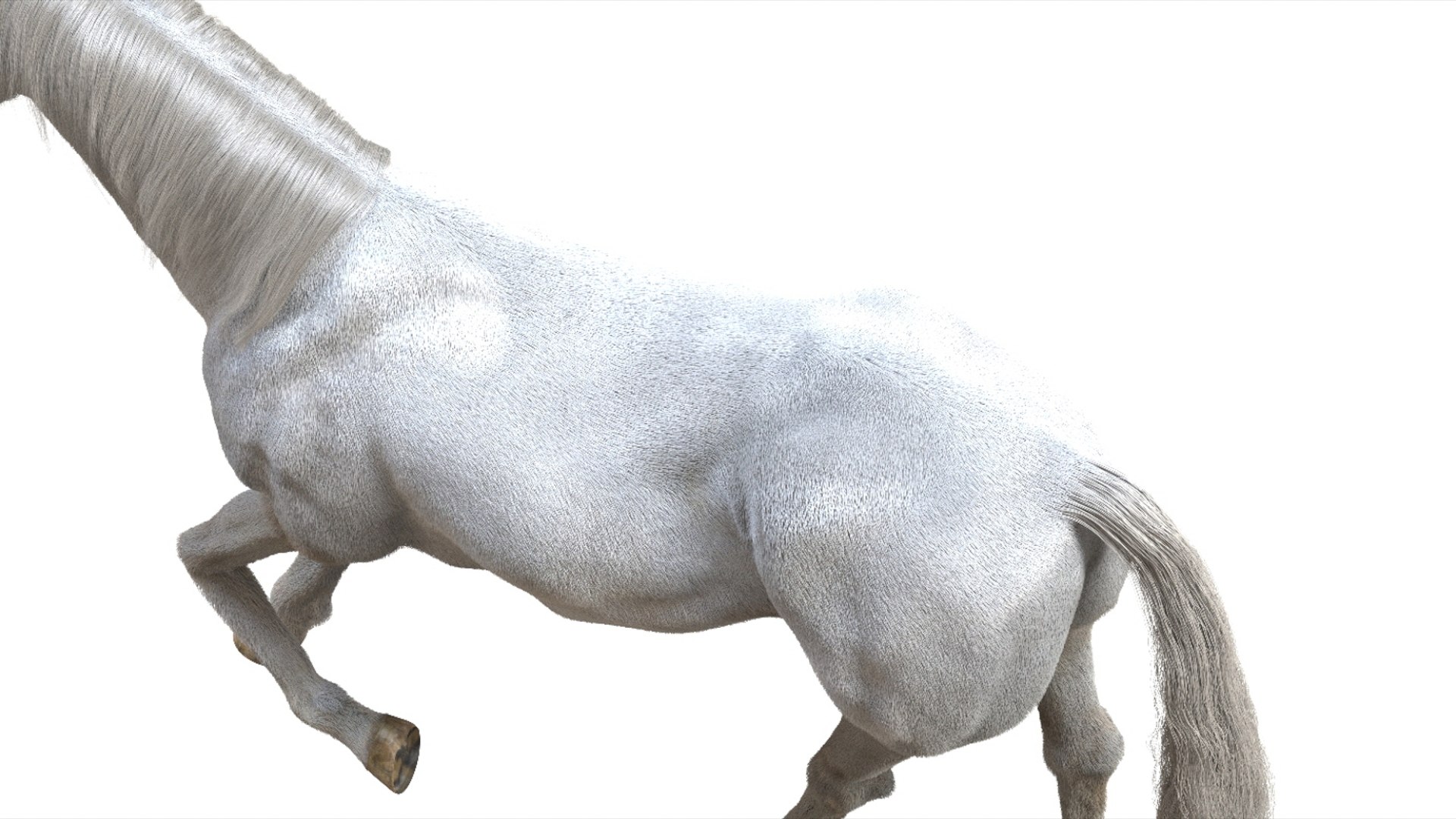 3D White Horse Rigged 3D model https://p.turbosquid.com/ts-thumb/L7/DcP0In/42/08/jpg/1751249783/1920x1080/fit_q87/0b5bde00429dc739ec5e16a8fbcd718296ac3020/08.jpg