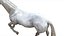 3D White Horse Rigged 3D model