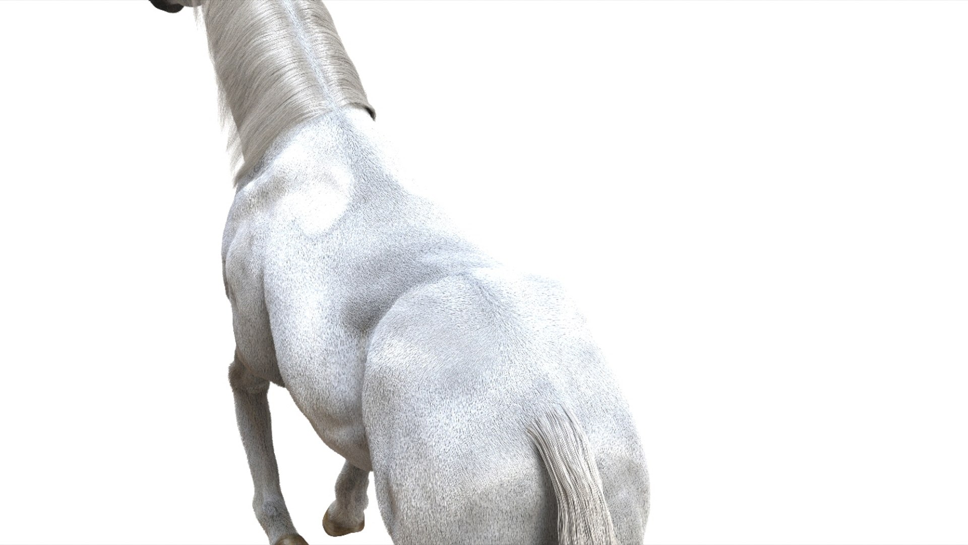 3D White Horse Rigged 3D model https://p.turbosquid.com/ts-thumb/L7/DcP0In/Ak/14/jpg/1751249788/1920x1080/fit_q87/c01c8cde3d0030fbbd4fb4ca335d91273cd9f0a7/14.jpg