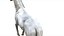 3D White Horse Rigged 3D model