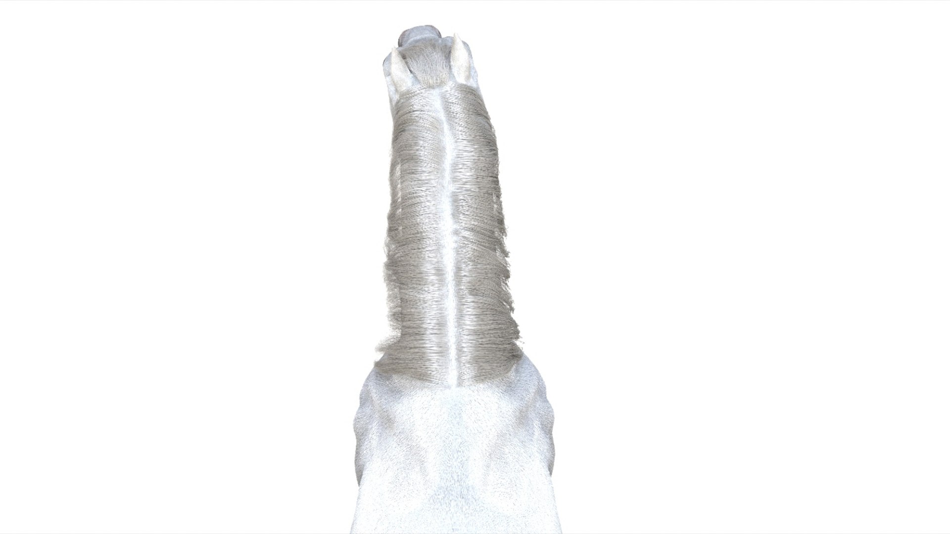 3D White Horse Rigged 3D model https://p.turbosquid.com/ts-thumb/L7/DcP0In/Cn/13/jpg/1751249787/1920x1080/fit_q87/9f375bd24a1e7e3fee5b11face245ddc77a95a72/13.jpg