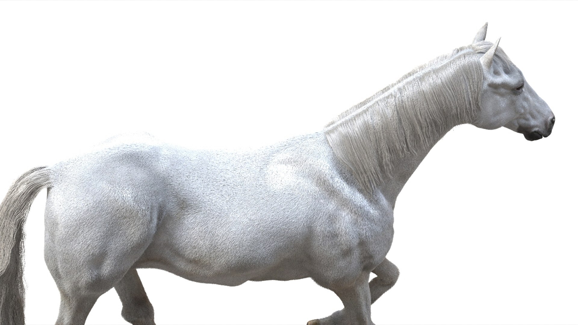 3D White Horse Rigged 3D model https://p.turbosquid.com/ts-thumb/L7/DcP0In/M6/11/jpg/1751249785/1920x1080/fit_q87/ae00106db40a562c69ea87ef2c304d2471b4be88/11.jpg