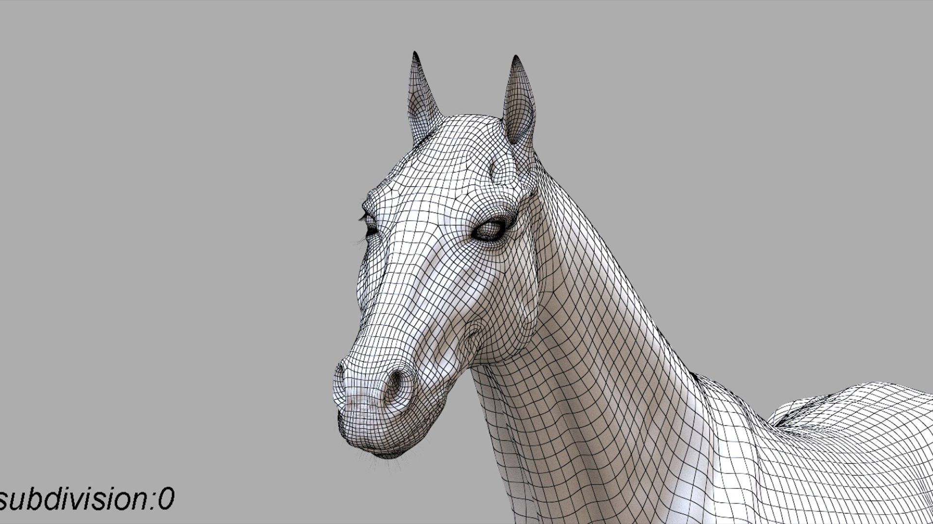 3D White Horse Rigged 3D model https://p.turbosquid.com/ts-thumb/L7/DcP0In/NO/26/jpg/1751249797/1920x1080/fit_q87/e8da3de90110d0a7f445f24b9648f8f91435071a/26.jpg