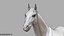 3D White Horse Rigged 3D model