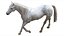 3D White Horse Rigged 3D model