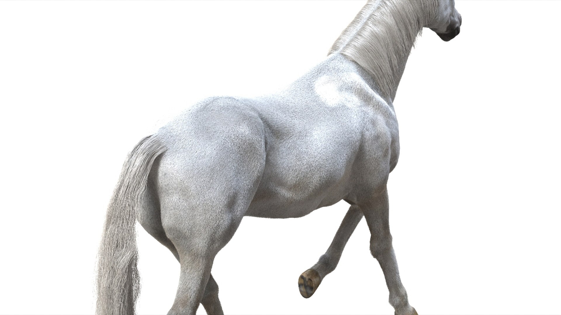 3D White Horse Rigged 3D model https://p.turbosquid.com/ts-thumb/L7/DcP0In/Sq/22/jpg/1751249794/1920x1080/fit_q87/cf9d46076c59fc2f22447631955aea6e649e03a3/22.jpg