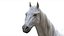 3D White Horse Rigged 3D model