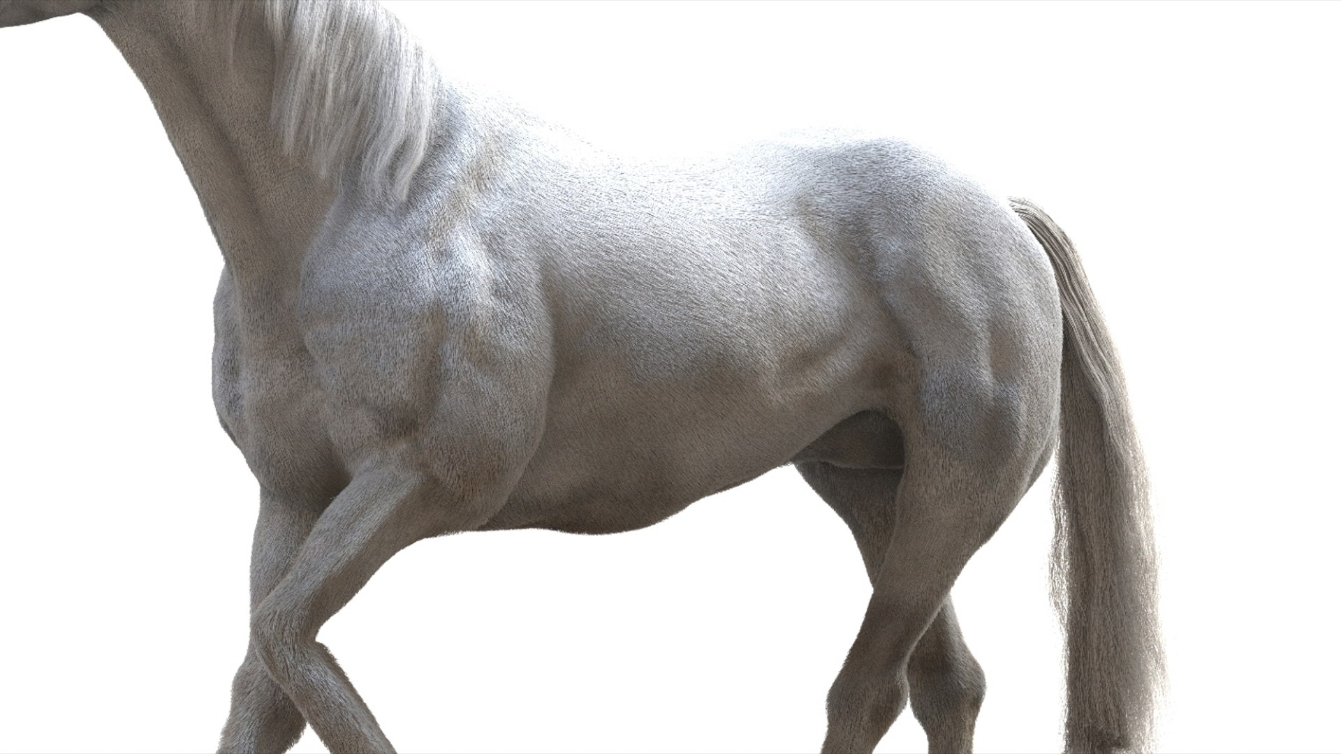 3D White Horse Rigged 3D model https://p.turbosquid.com/ts-thumb/L7/DcP0In/WB/09/jpg/1751249783/1920x1080/fit_q87/a39548f8c8082aed2fd1fd6ebd96f7ec8442ad76/09.jpg