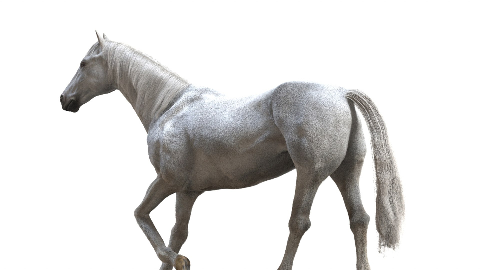 3D White Horse Rigged 3D model https://p.turbosquid.com/ts-thumb/L7/DcP0In/lW/07/jpg/1751249782/1920x1080/fit_q87/8798ba3e4aa8a5fed372d77acaf0bb8be3e1be1c/07.jpg