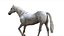3D White Horse Rigged 3D model
