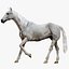 3D White Horse Rigged 3D model