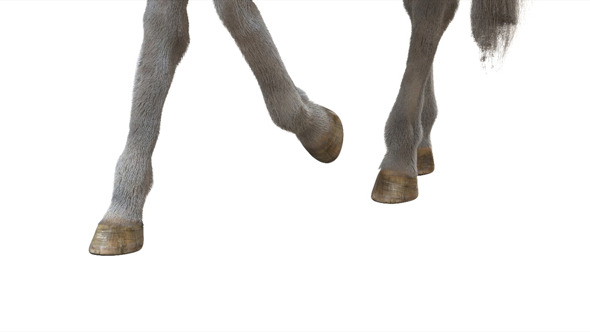3D White Horse Rigged 3D model https://p.turbosquid.com/ts-thumb/L7/DcP0In/rv/20/jpg/1751249792/1920x1080/fit_q87/0daa1b1775e585eb485babaae4de08141b2f6893/20.jpg
