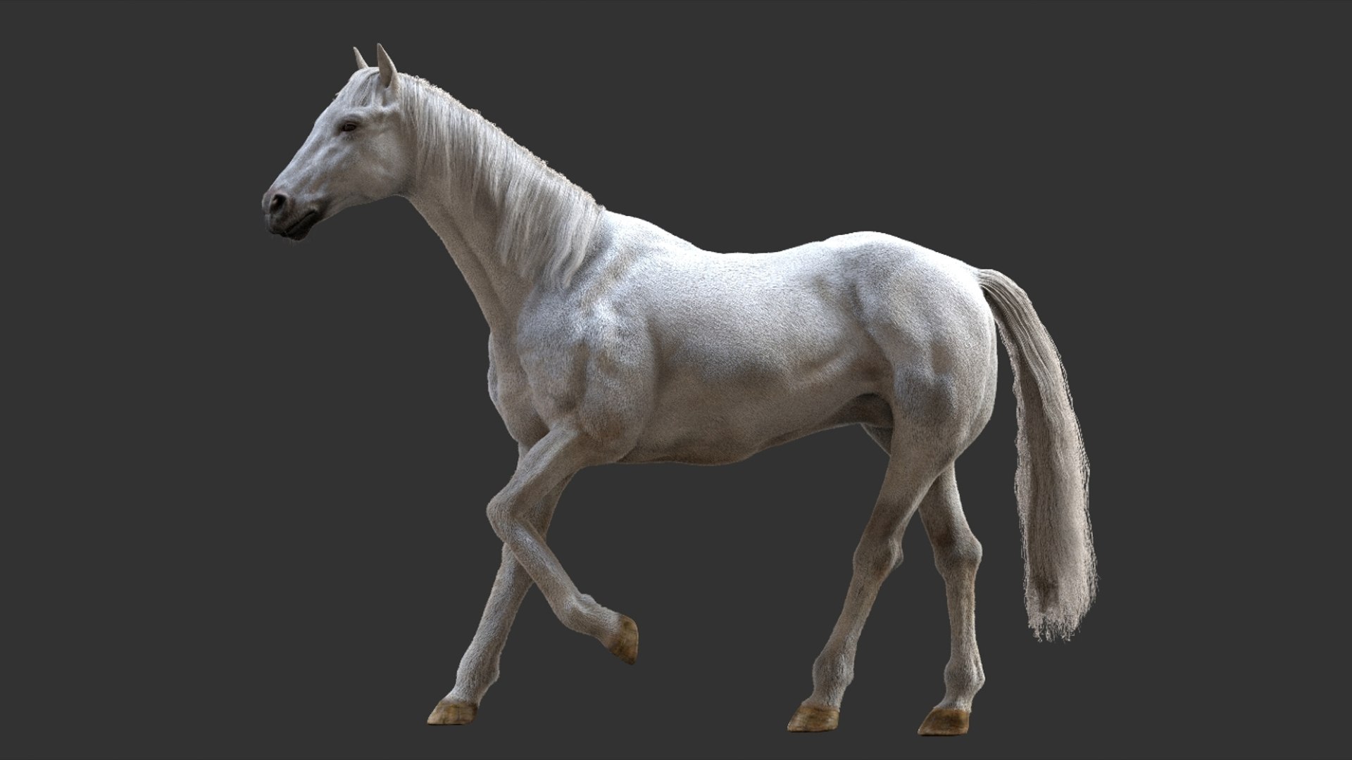 3D White Horse Rigged 3D model https://p.turbosquid.com/ts-thumb/L7/DcP0In/sz/03/jpg/1751249778/1920x1080/fit_q87/bbdbf2d4b909b24f1e378145c07143c71fc3d30b/03.jpg