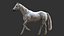 3D White Horse Rigged 3D model