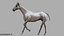 3D White Horse Rigged 3D model