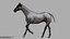 3D White Horse Rigged 3D model