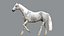 3D White Horse Rigged 3D model