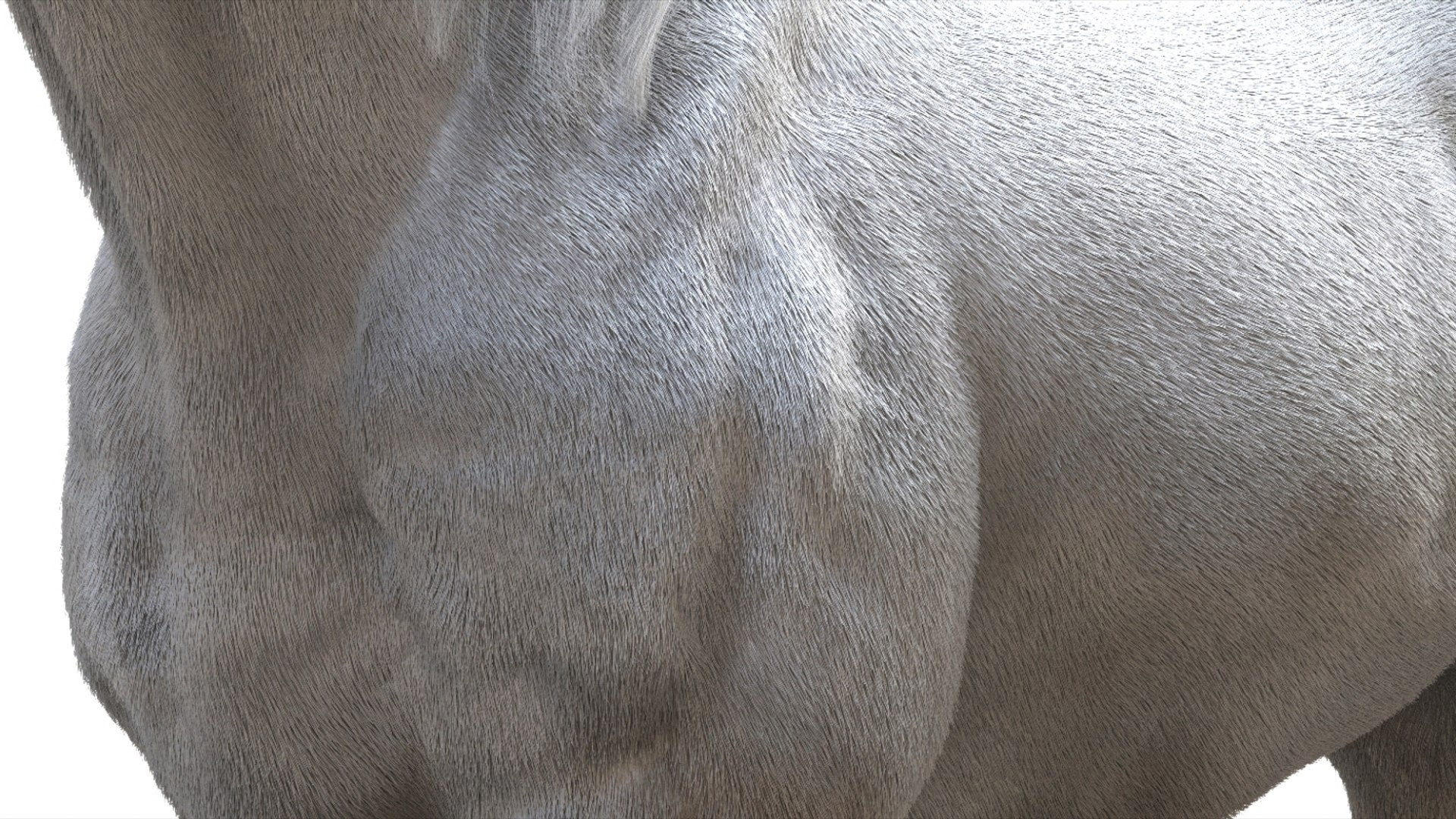 3D White Horse Rigged 3D model https://p.turbosquid.com/ts-thumb/L7/DcP0In/xd/16/jpg/1751249790/1920x1080/fit_q87/20218a0ee48ef8454bb0d2354fbd06b20e56154d/16.jpg