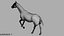 3D White Horse Rigged 3D model