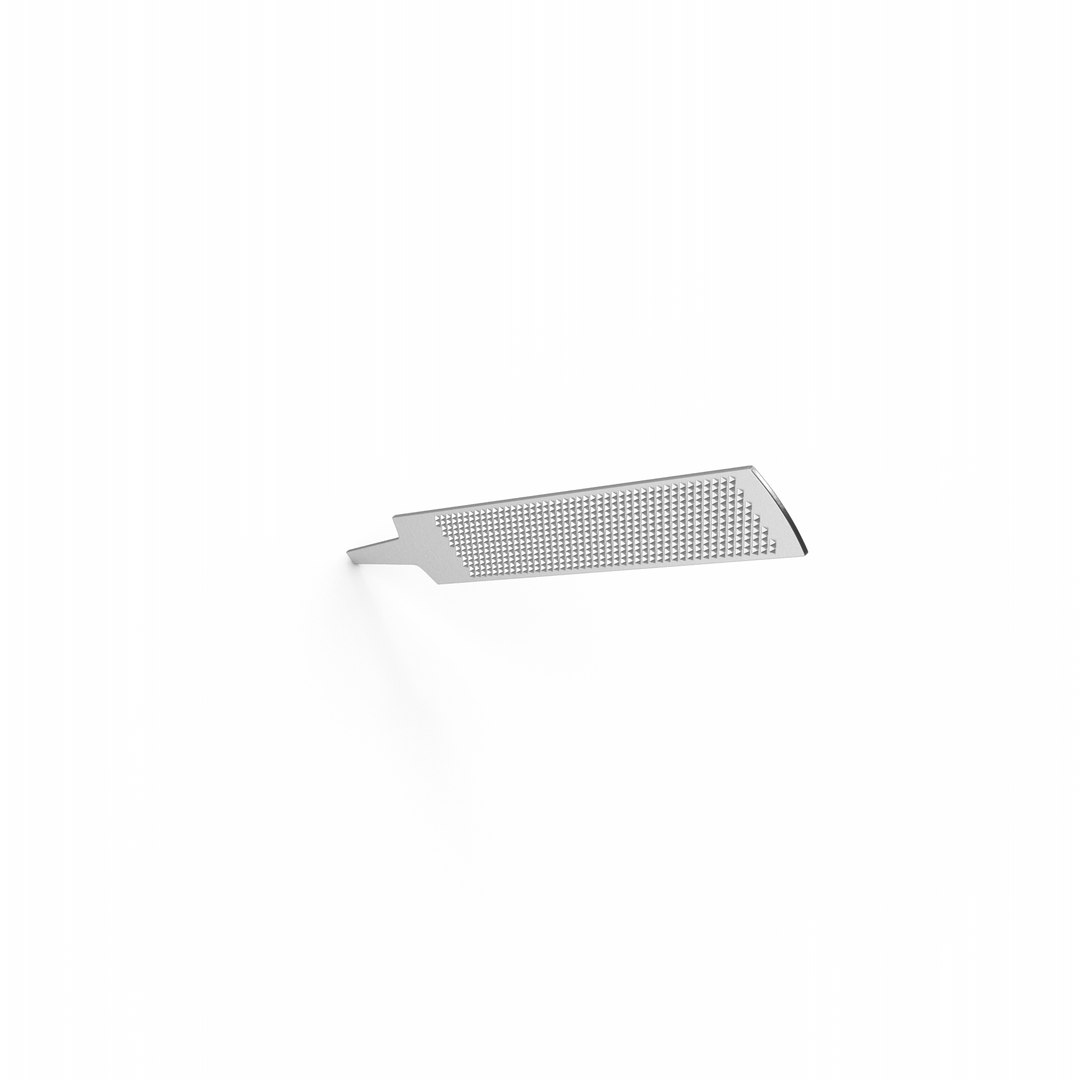 Rasp Silver Model - TurboSquid 1903669