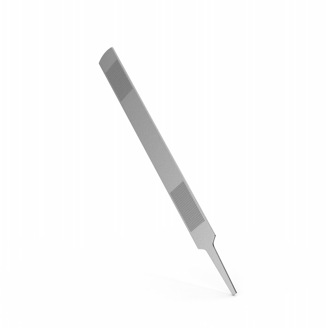 Rasp Silver Model - TurboSquid 1903669