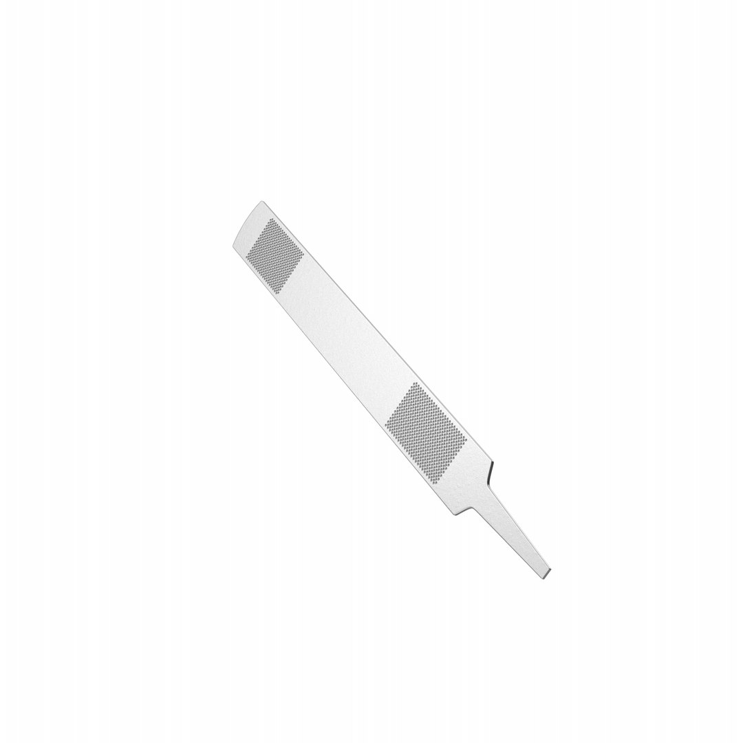Rasp Silver Model - TurboSquid 1903669
