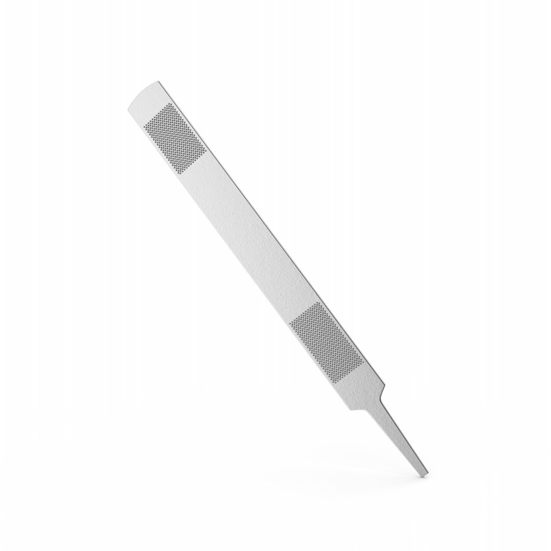 Rasp Silver Model - TurboSquid 1903669