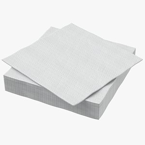 Napkin White Color 3D Model