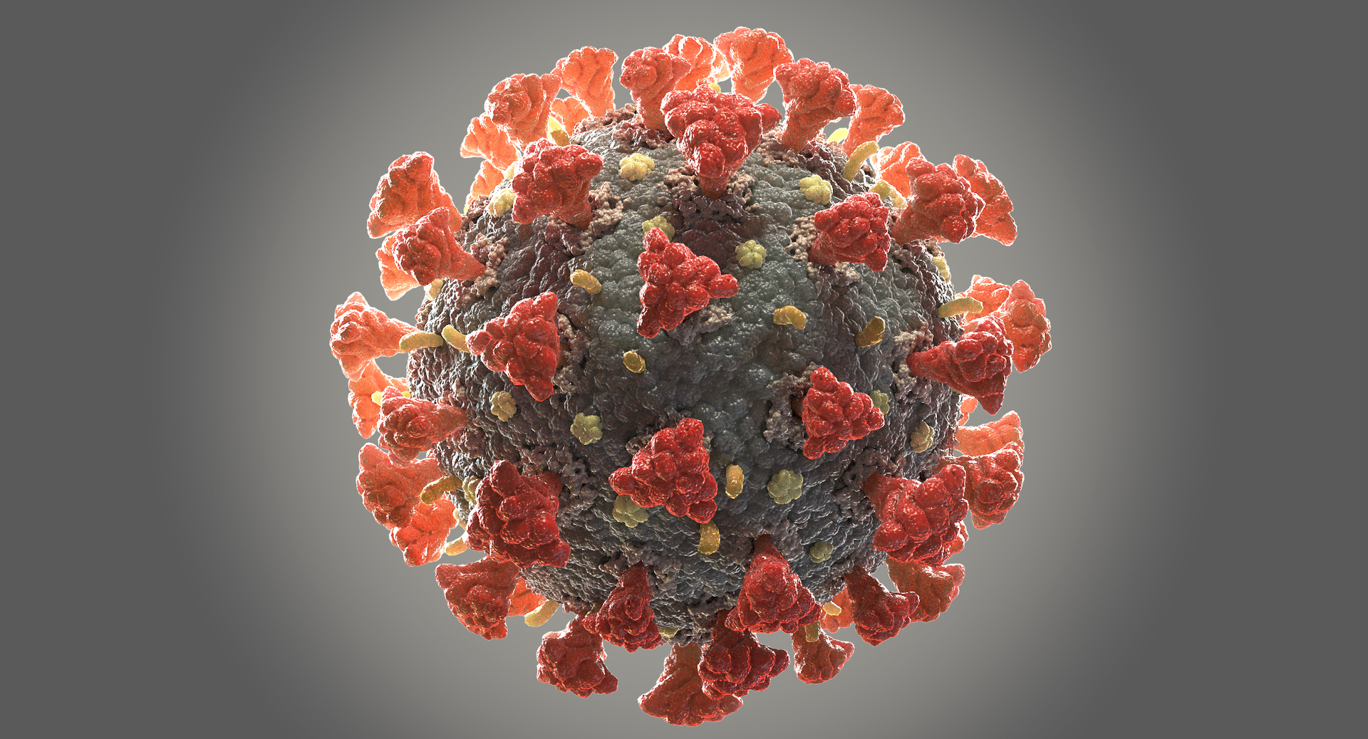 Coronavirus Collection 01 - 3 models 3D model https://p.turbosquid.com/ts-thumb/L7/QZTkJ0/Km/0000/jpg/1658212102/1920x1080/turn_fit_q99/0585208f40e37616a5bd3c884a9dd6930644b7f8/0000-1.jpg