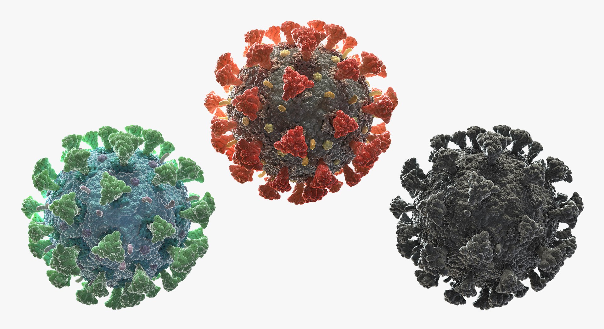 Coronavirus Collection 01 - 3 models 3D model https://p.turbosquid.com/ts-thumb/L7/QZTkJ0/Q4/a14/jpg/1658212050/1920x1080/fit_q87/4a89bc21c617f570ce209d6274b6712183723355/a14.jpg