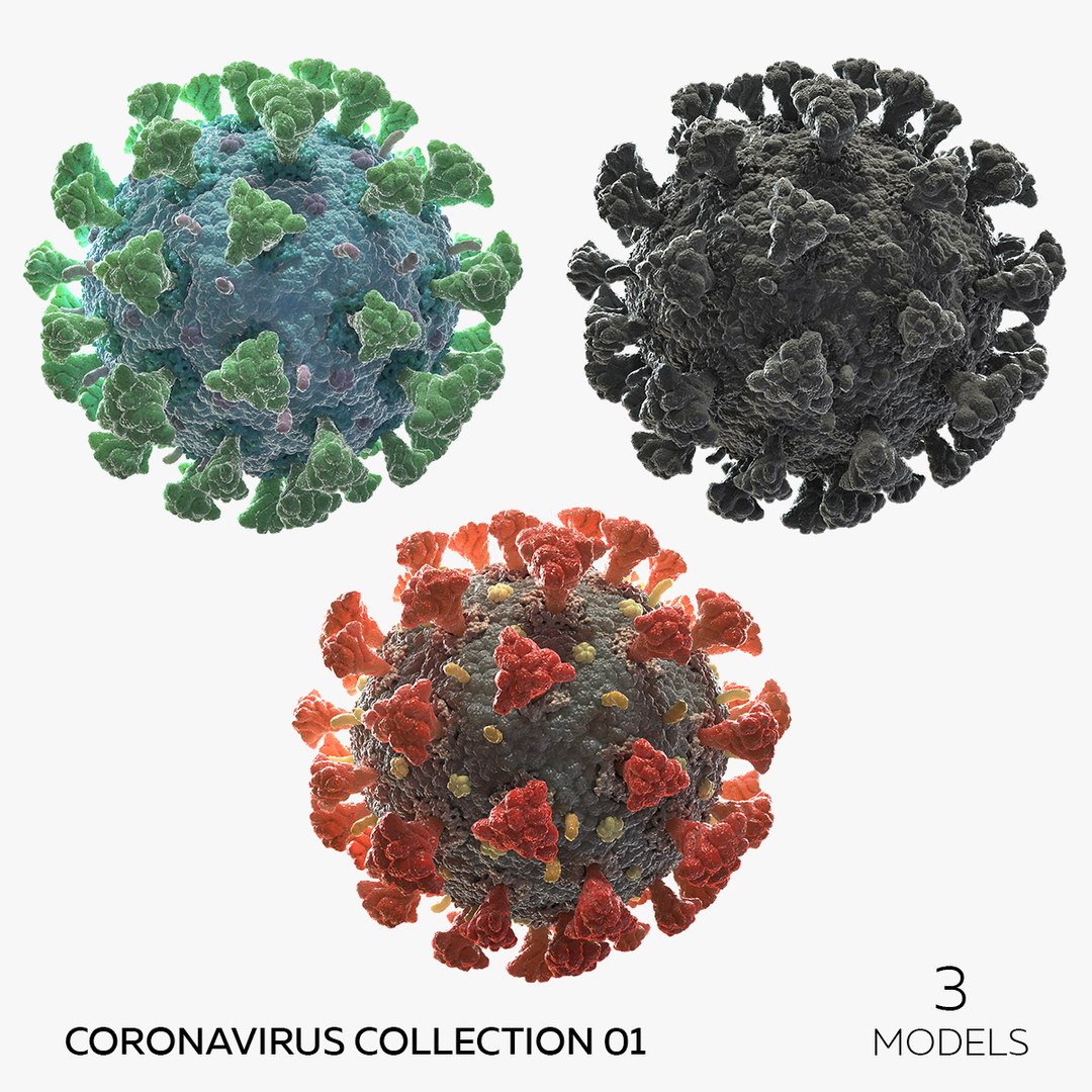 Coronavirus Collection 01 - 3 models 3D model https://p.turbosquid.com/ts-thumb/L7/QZTkJ0/cH/square/jpg/1658213351/1920x1080/fit_q87/102e5e242e8eb28e38cc65c3d604e8d0563749f6/square.jpg
