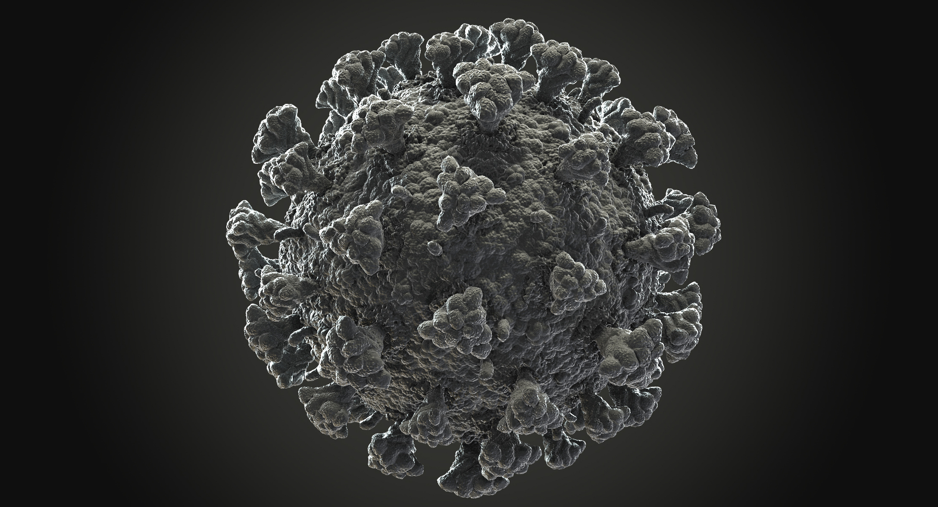 Coronavirus Collection 01 - 3 models 3D model https://p.turbosquid.com/ts-thumb/L7/QZTkJ0/n8/0000/jpg/1658212525/1920x1080/turn_fit_q99/02e5f4ecc1b7a7f4f2db88201b7c100f88e99ddf/0000-1.jpg
