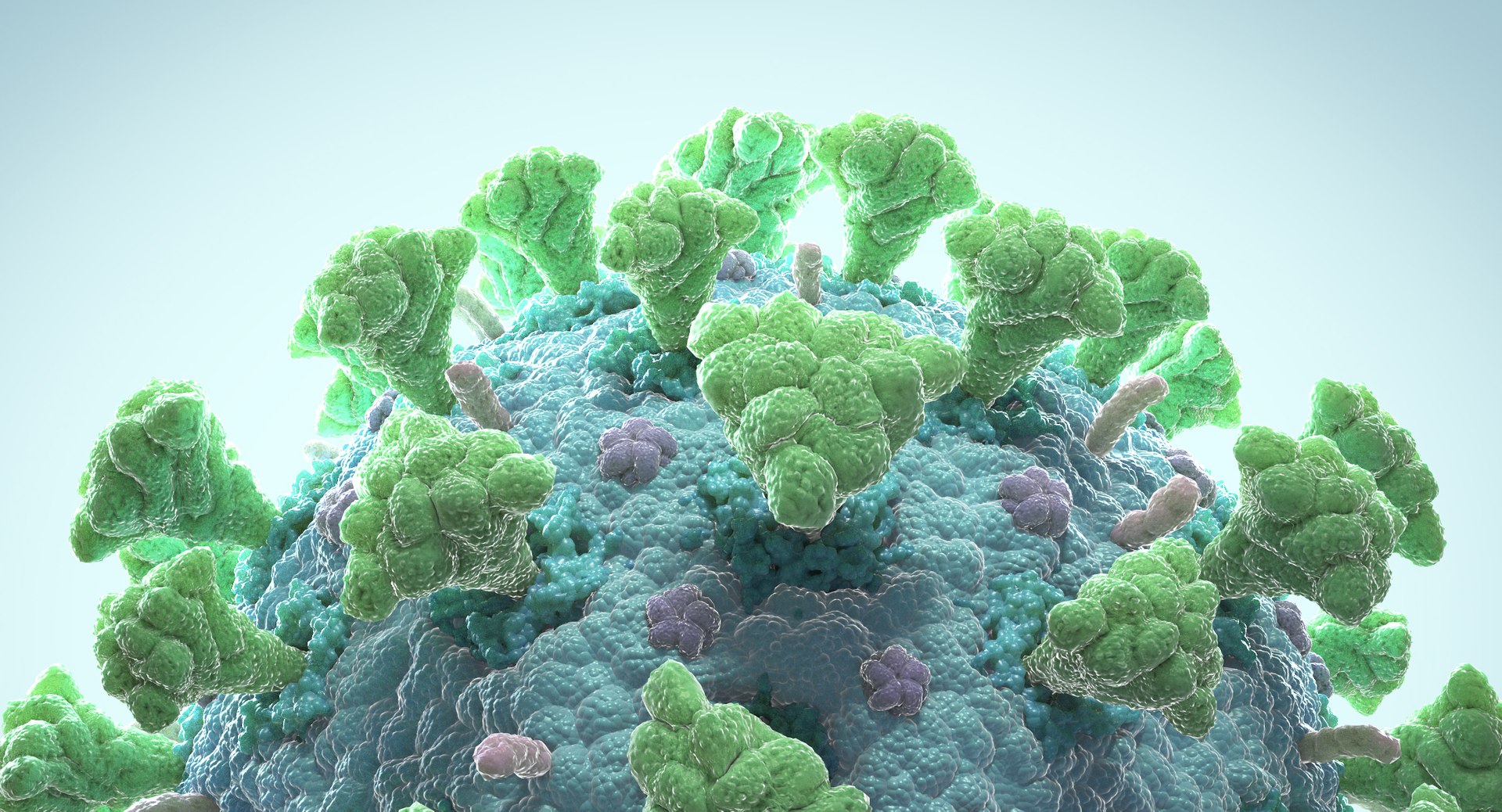 Coronavirus Collection 01 - 3 models 3D model https://p.turbosquid.com/ts-thumb/L7/QZTkJ0/rv/coronavisrus_003/jpg/1658212810/1920x1080/fit_q87/ca6bbcc05421fca023edefc06e49c514fed182c6/coronavisrus_003.jpg