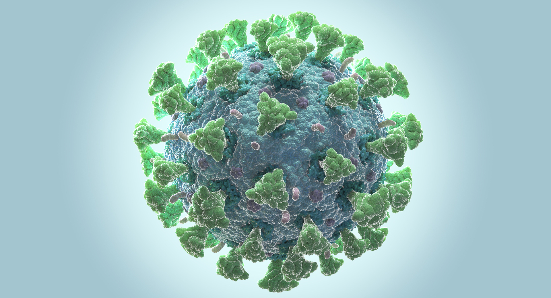 Coronavirus Collection 01 - 3 models 3D model https://p.turbosquid.com/ts-thumb/L7/QZTkJ0/vO/0000/jpg/1658212063/1920x1080/turn_fit_q99/6c3c46f2f065bb44e9b3ec10ee9d54d030de1075/0000-1.jpg