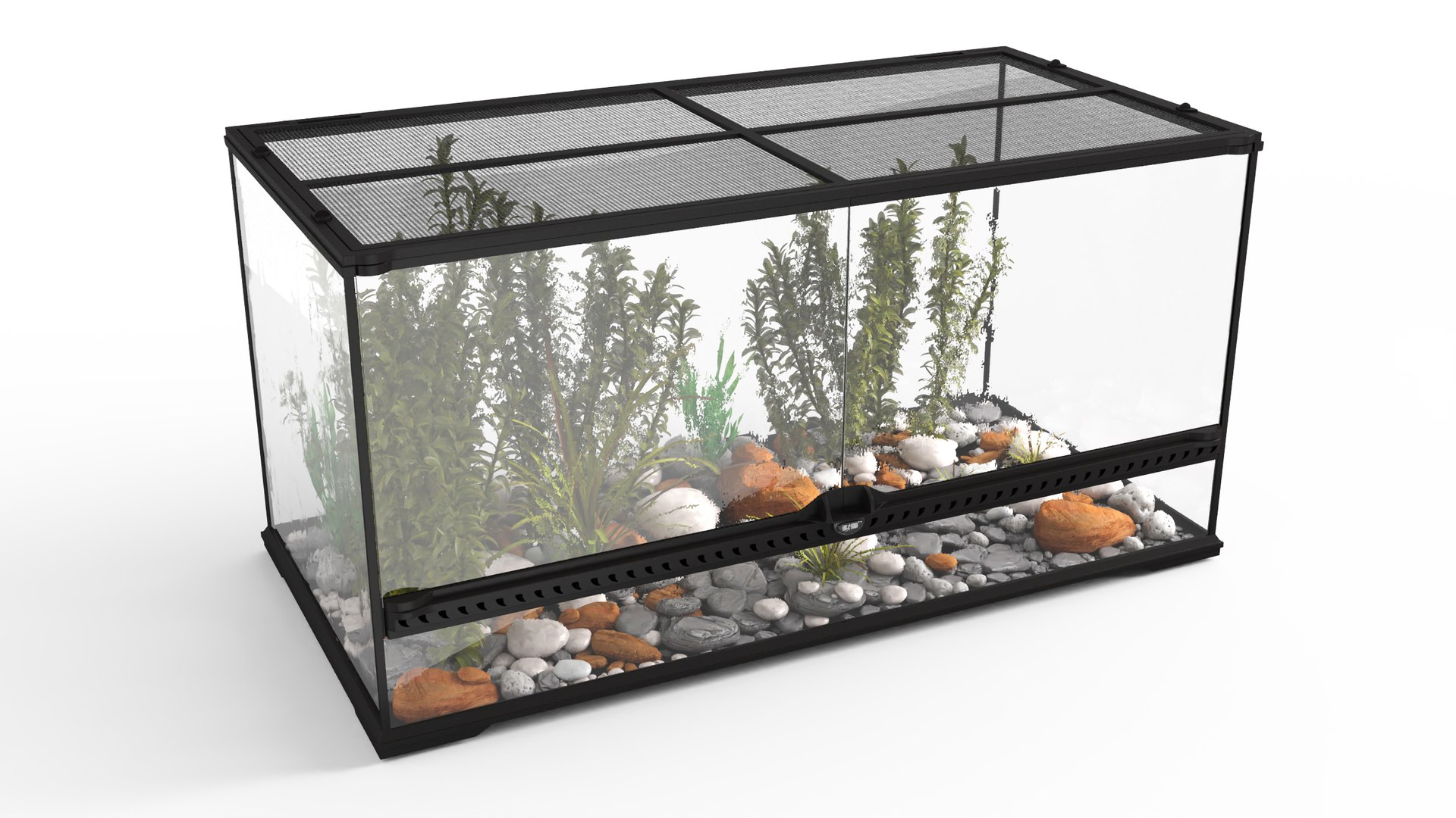 Exotic Plants Long Terrarium 3D - TurboSquid 2144498