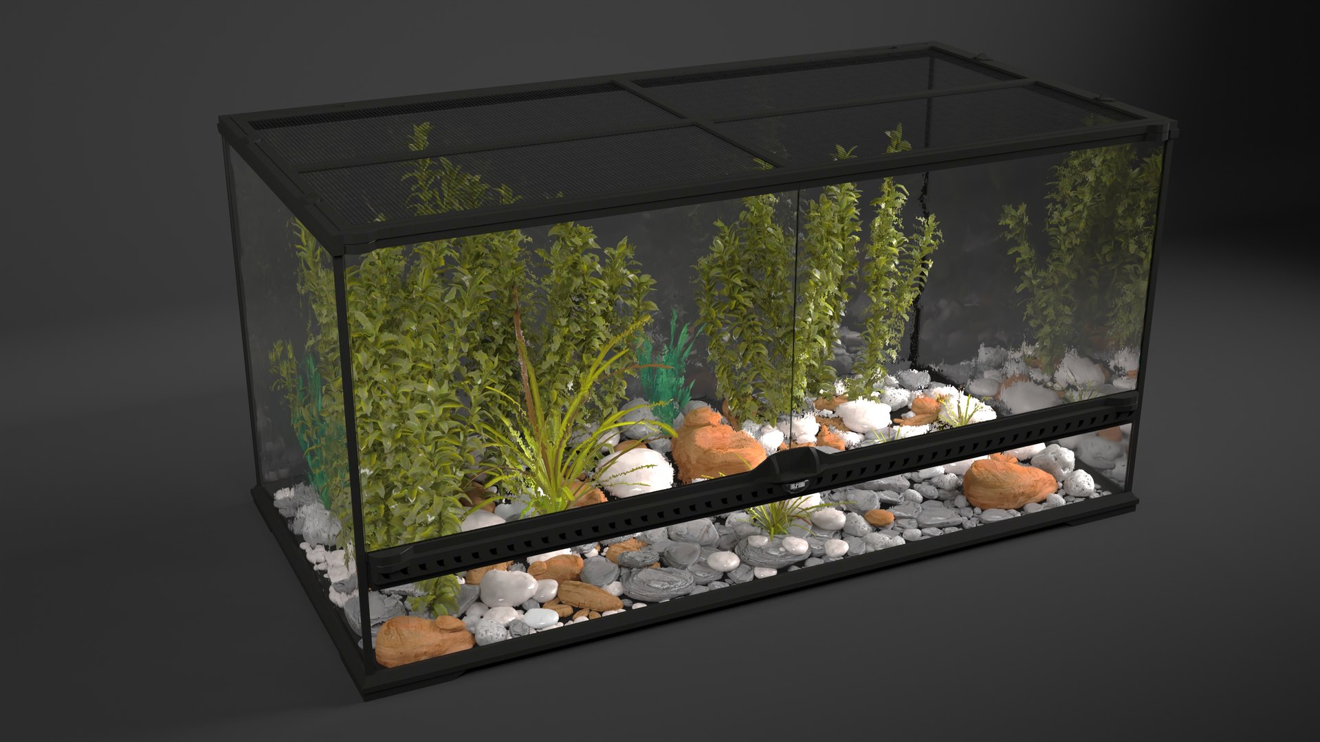 Exotic Plants Long Terrarium 3D - TurboSquid 2144498