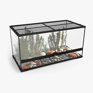 Exotic Plants Long Terrarium