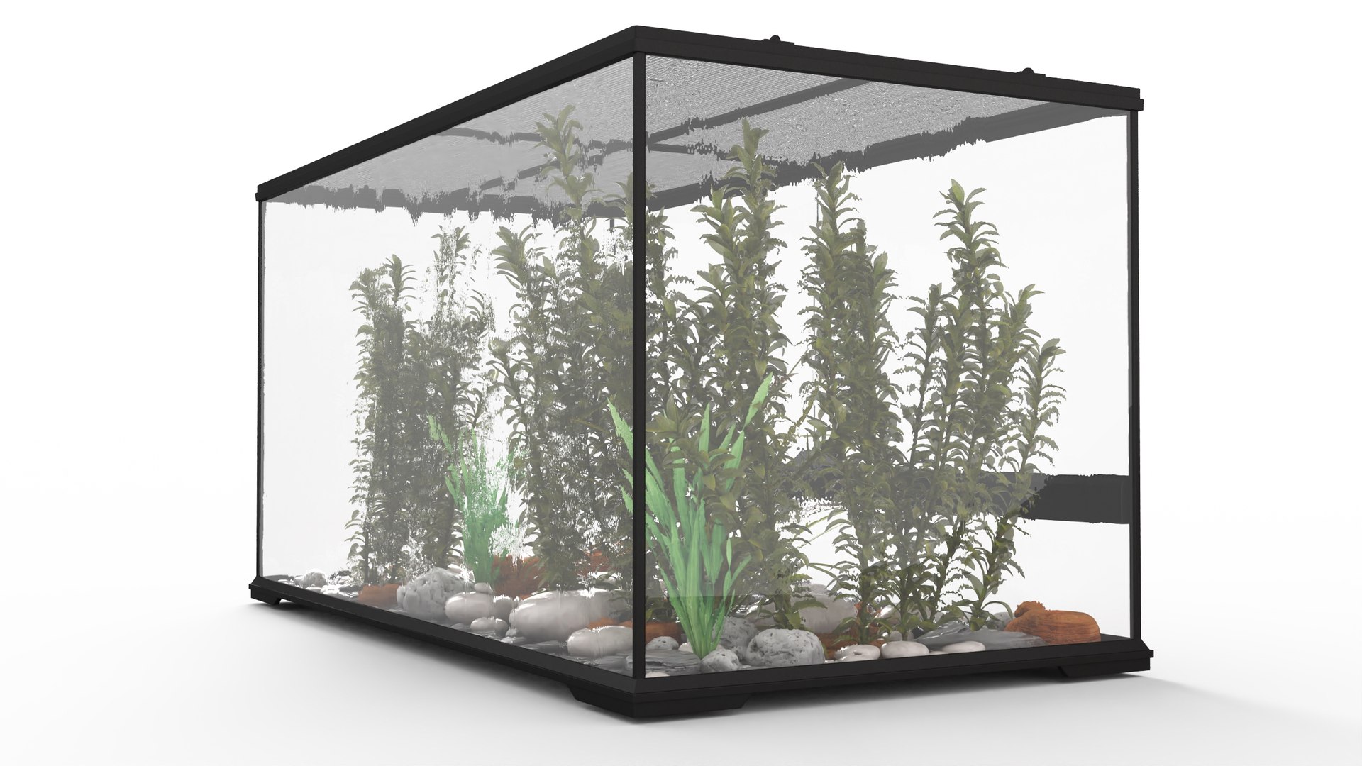 Exotic Plants Long Terrarium 3D - TurboSquid 2144498