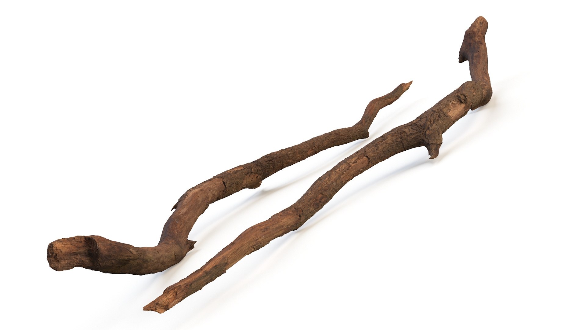 3D Fallen Dry Branch https://p.turbosquid.com/ts-thumb/L7/wgj1cN/My/fallendrybranch3dsmodel008/jpg/1724847673/1920x1080/fit_q87/3fe491a0dca56120e7143d6ae886060e13ab9834/fallendrybranch3dsmodel008.jpg