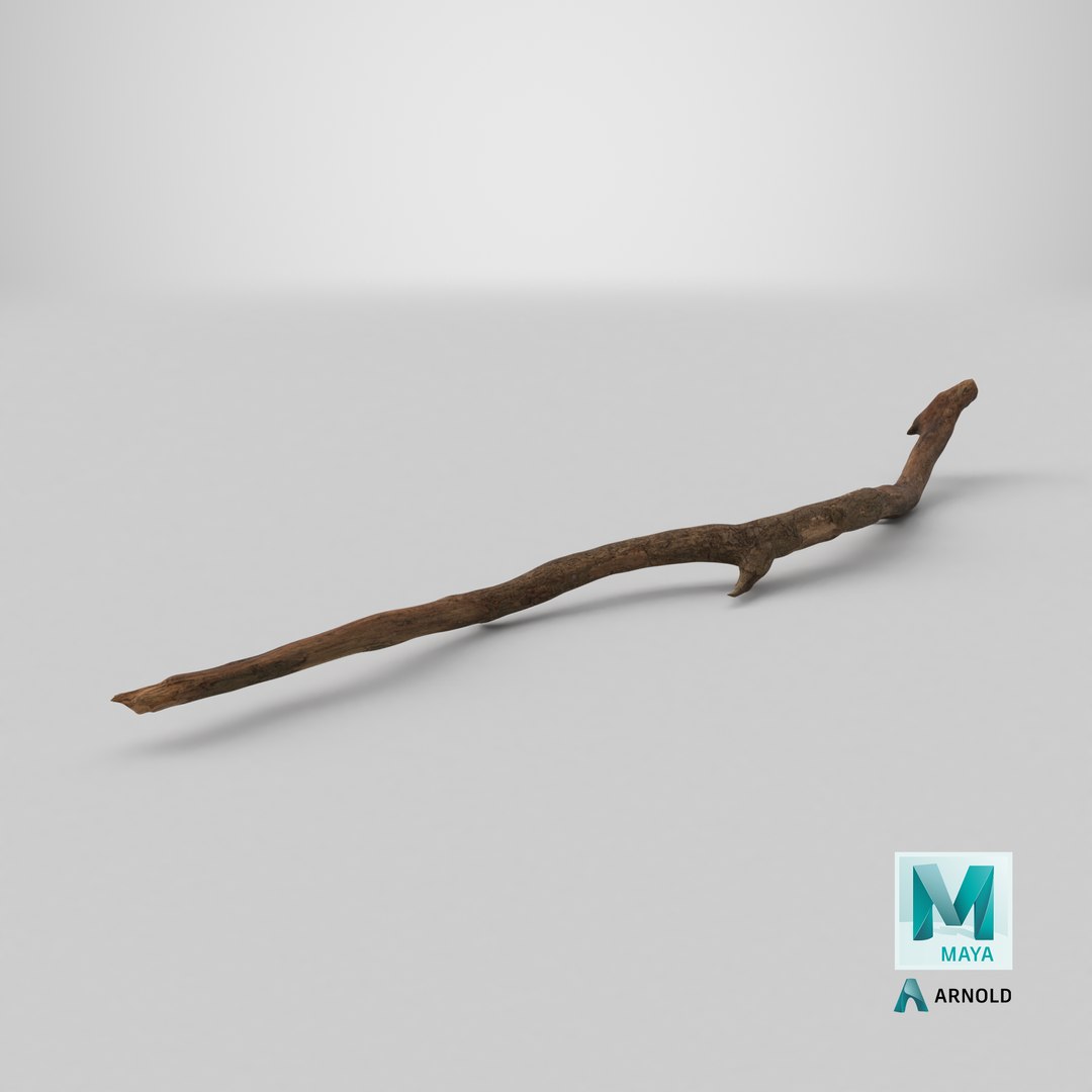 3D Fallen Dry Branch https://p.turbosquid.com/ts-thumb/L7/wgj1cN/li/stemcell_maya_arnold_render/png/1731673103/1920x1080/fit_q87/0749b842345179f8b874120791ccd0c49a89a014/stemcell_maya_arnold_render.jpg