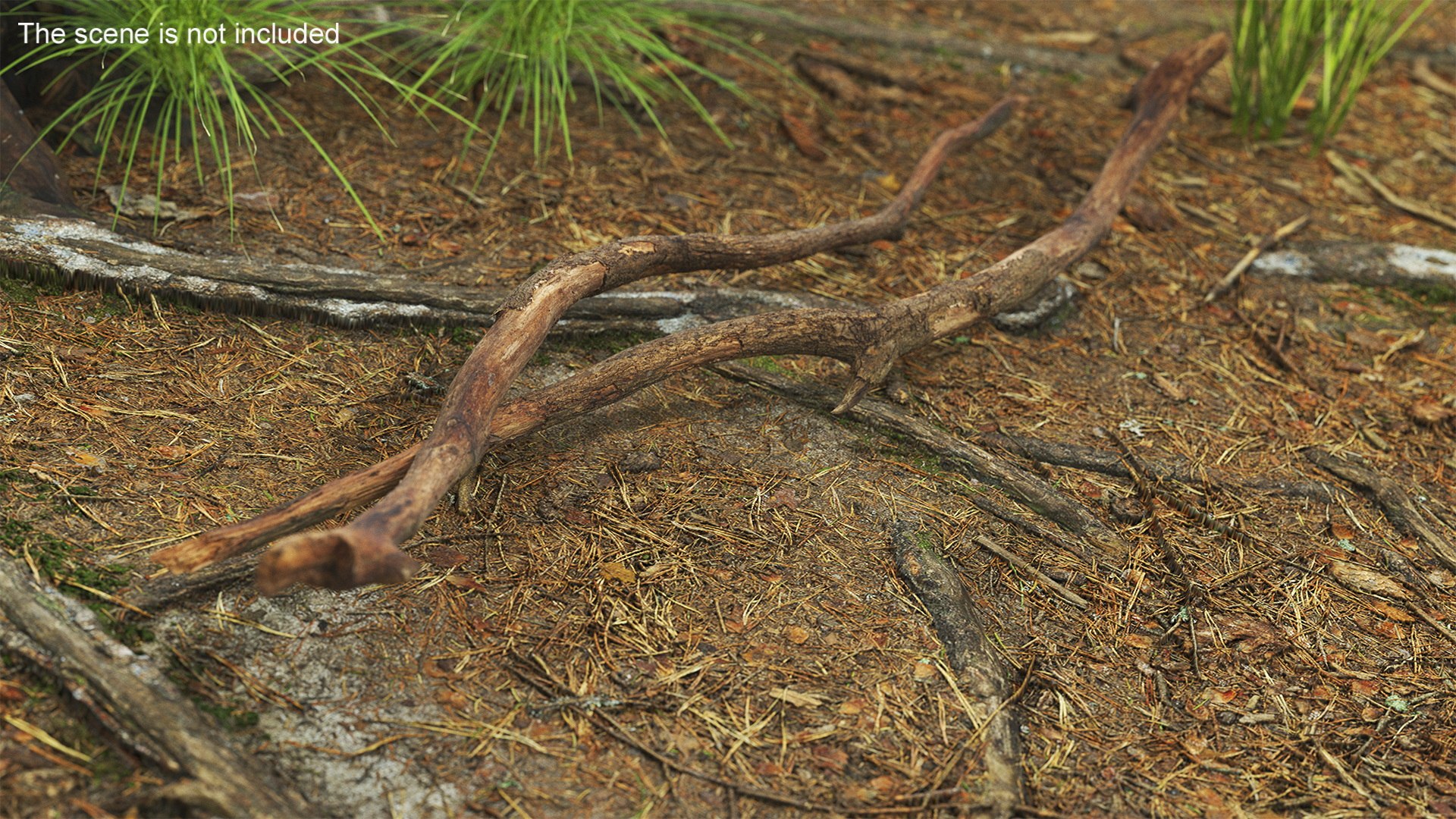 3D Fallen Dry Branch https://p.turbosquid.com/ts-thumb/L7/wgj1cN/ri/fallendrybranch3dsmodel003/jpg/1724847649/1920x1080/fit_q87/584c3d97660fa564108435ac48e343fc5b5778ba/fallendrybranch3dsmodel003.jpg