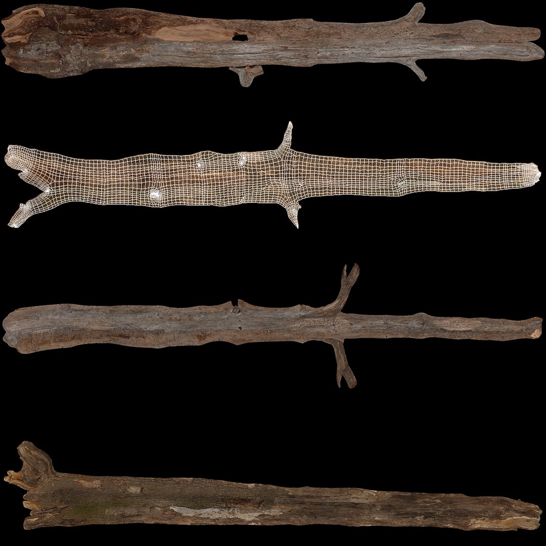 3D Fallen Dry Branch https://p.turbosquid.com/ts-thumb/L7/wgj1cN/wQ/fallendrybranch3dsmodel011/jpg/1724847687/1920x1080/fit_q87/92ca9f984889973272b06c6d13f2a215f3a8116c/fallendrybranch3dsmodel011.jpg