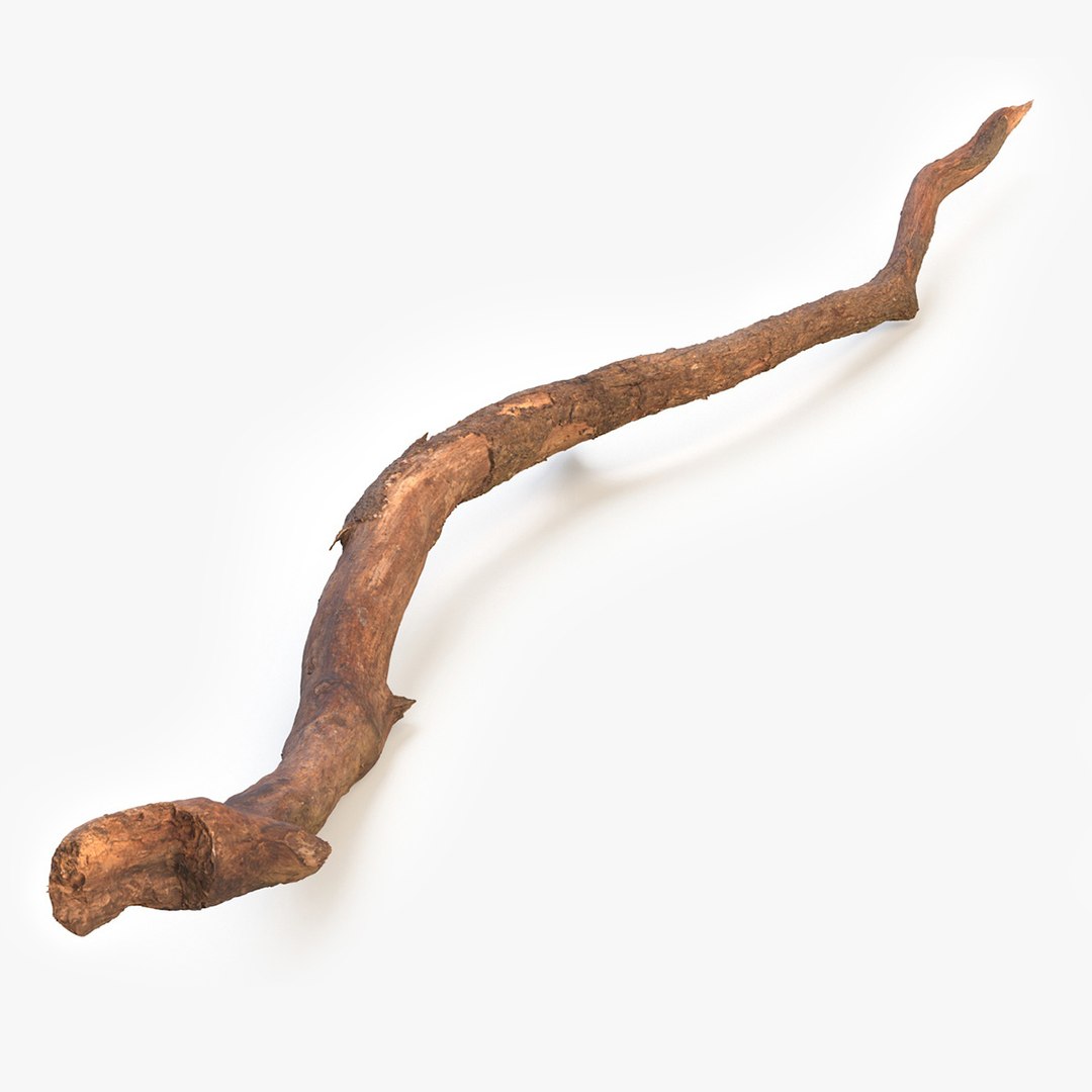 Fallen Dry Branch 3D model preview