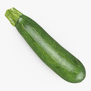 3D Zucchini 01