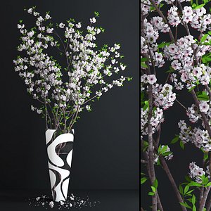 3d vase cherry blossom flowers model