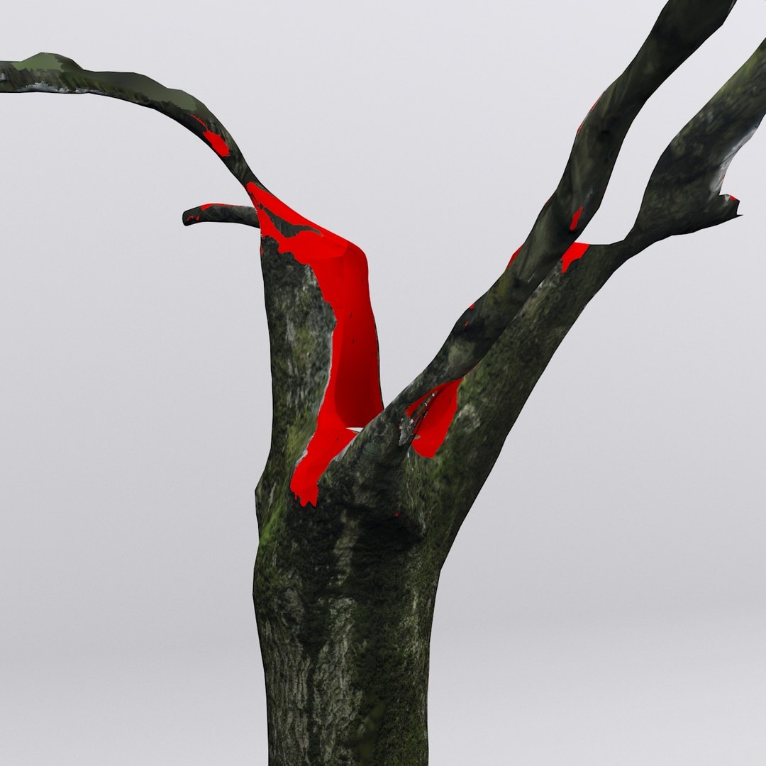 Free Dbuzzi Scan Tree Trunk 3d Model